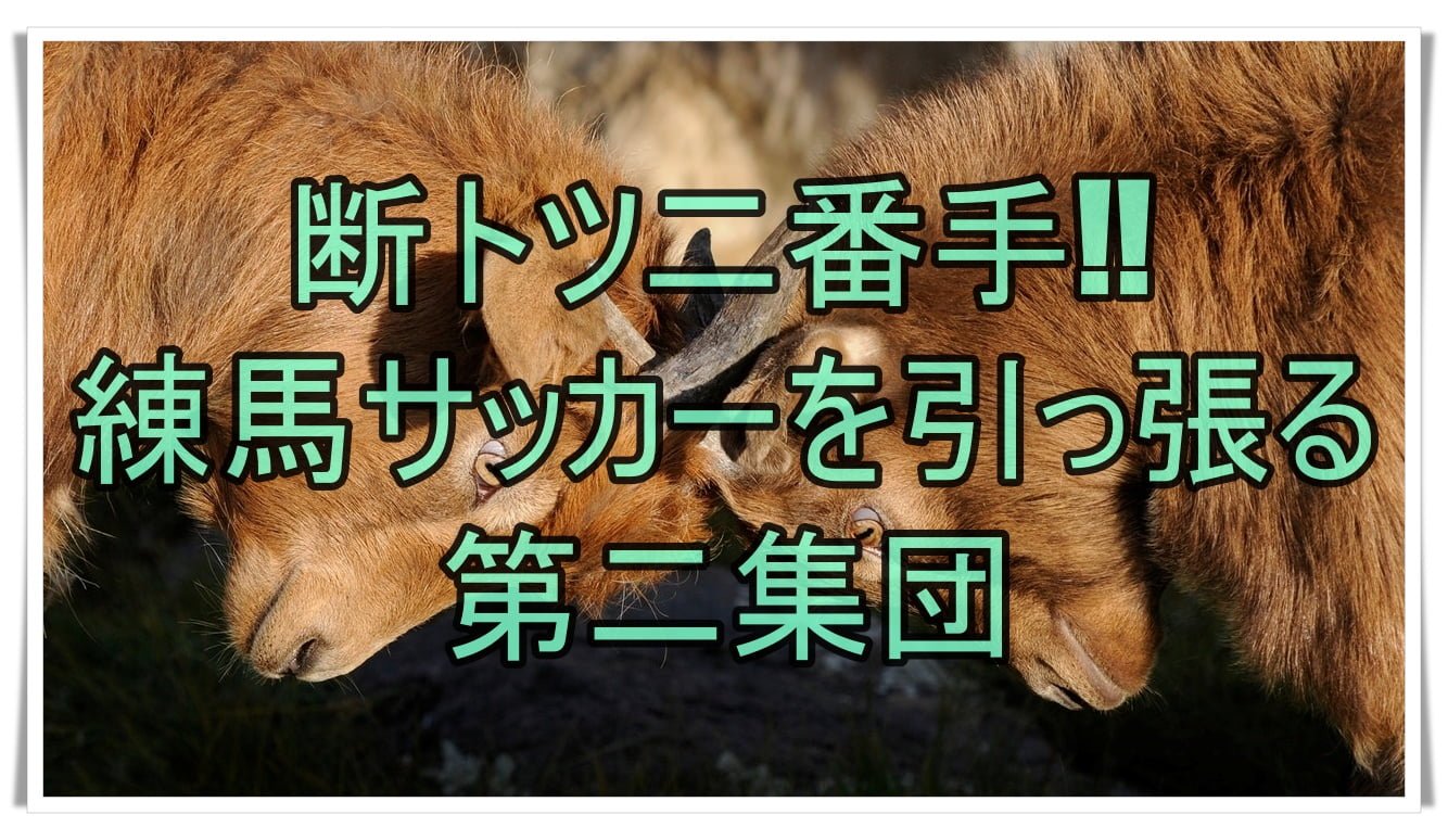 断トツ二番手 練馬サッカーを引っ張る第二集団 Papareco